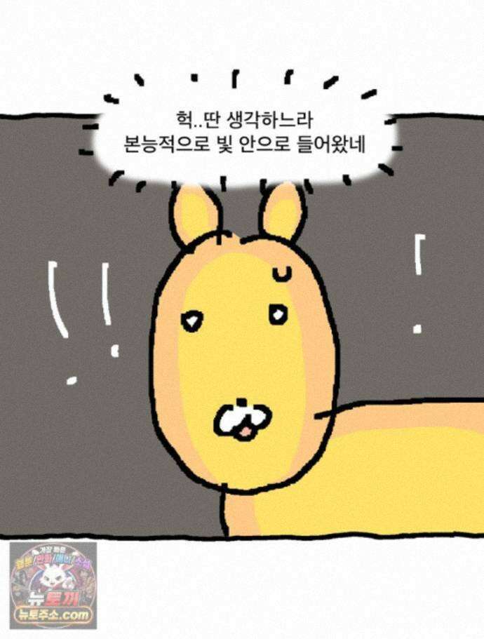 GO라니의 독립일기 31화 길 잃은 라니(상) 44