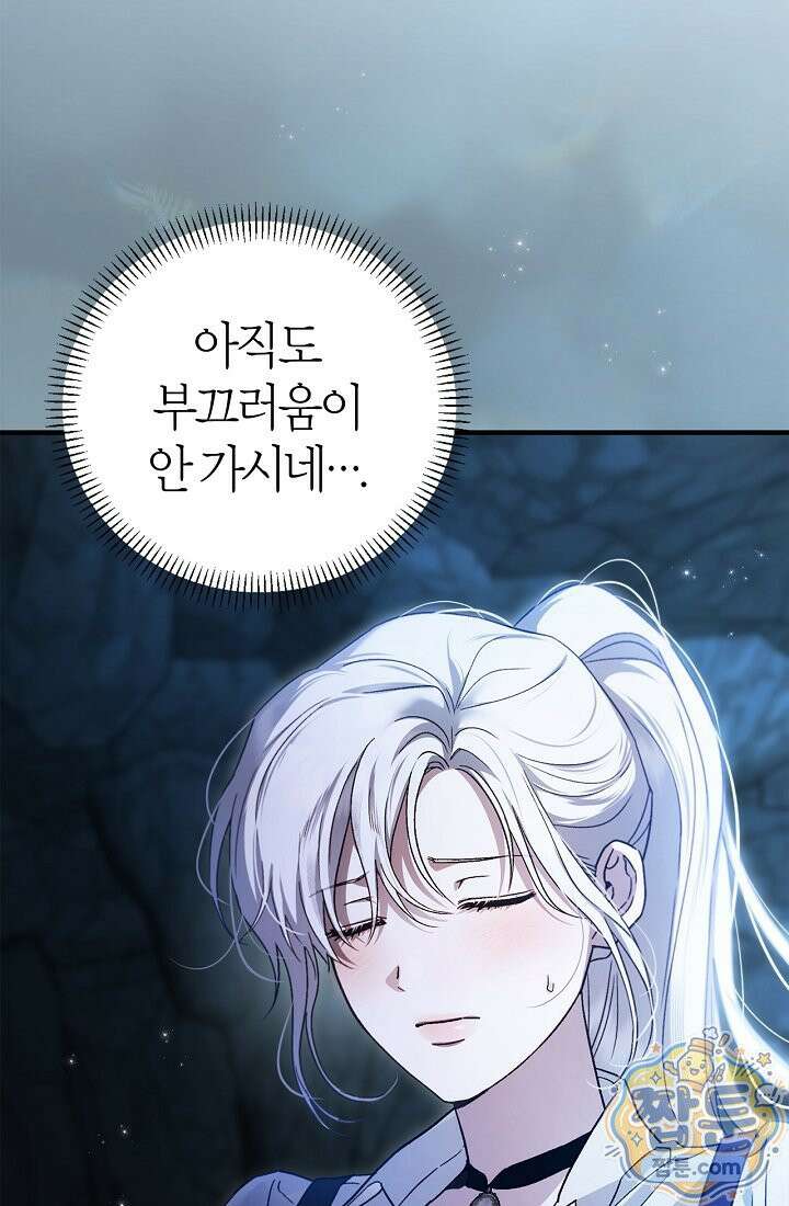 남편은 분명 성기사였는데 11화 3