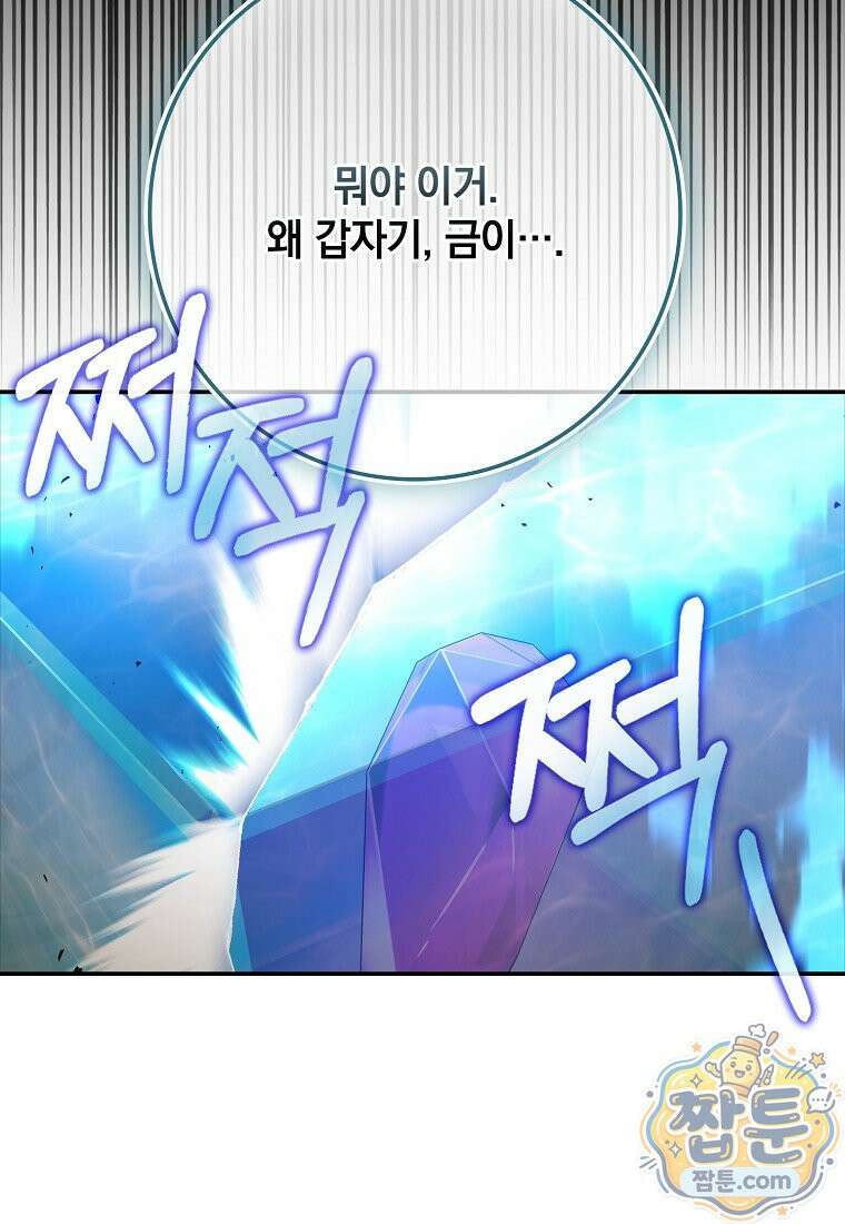 만렙 플레이어 147화 66