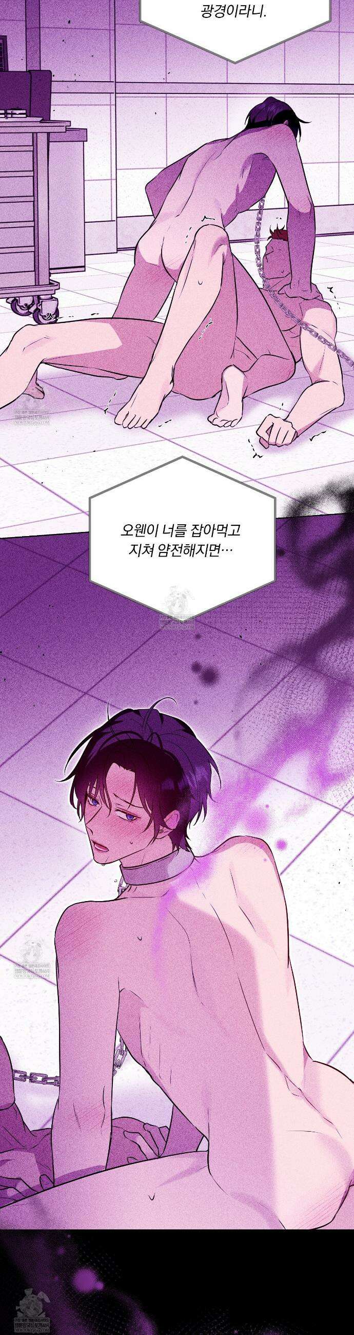 완벽한 오메가 55화 4