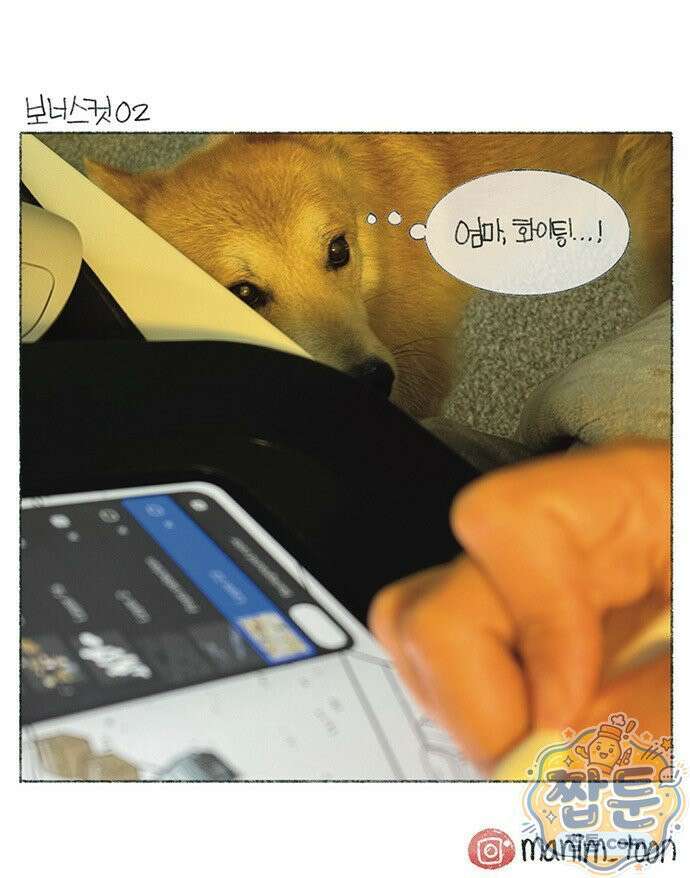 마님이네 미국 시골집 이야기 297화 8