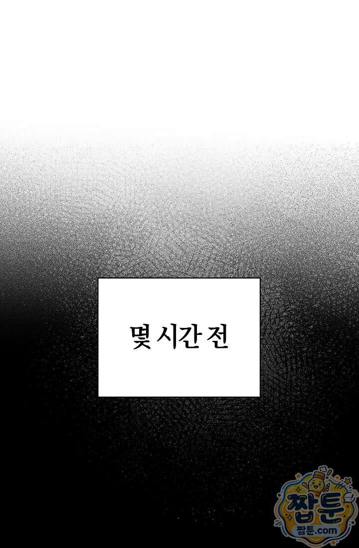미스매치 가이드 28화 33