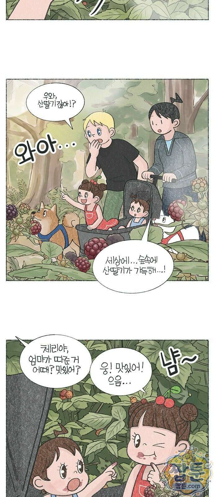 마님이네 미국 시골집 이야기 298화 4