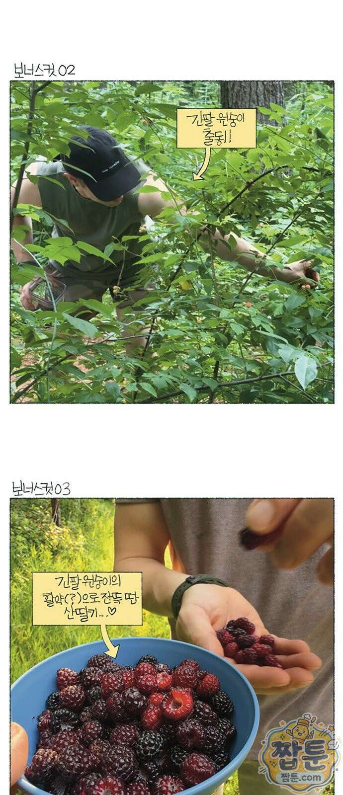 마님이네 미국 시골집 이야기 298화 8
