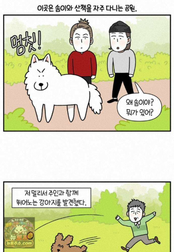 극한견주 시즌2 147화 오프리쉬에 대한 생각 2