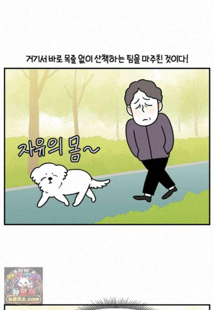 극한견주 시즌2 147화 오프리쉬에 대한 생각 8
