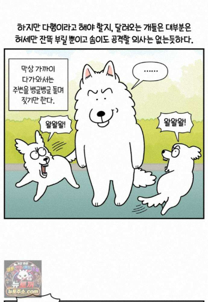 극한견주 시즌2 147화 오프리쉬에 대한 생각 15