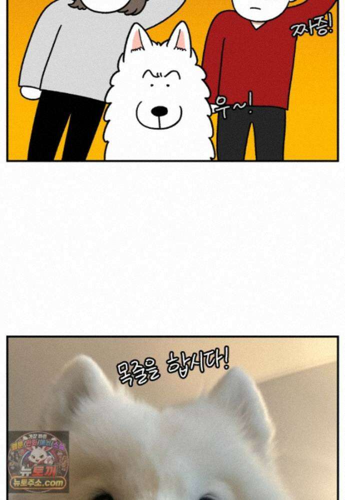 극한견주 시즌2 147화 오프리쉬에 대한 생각 25