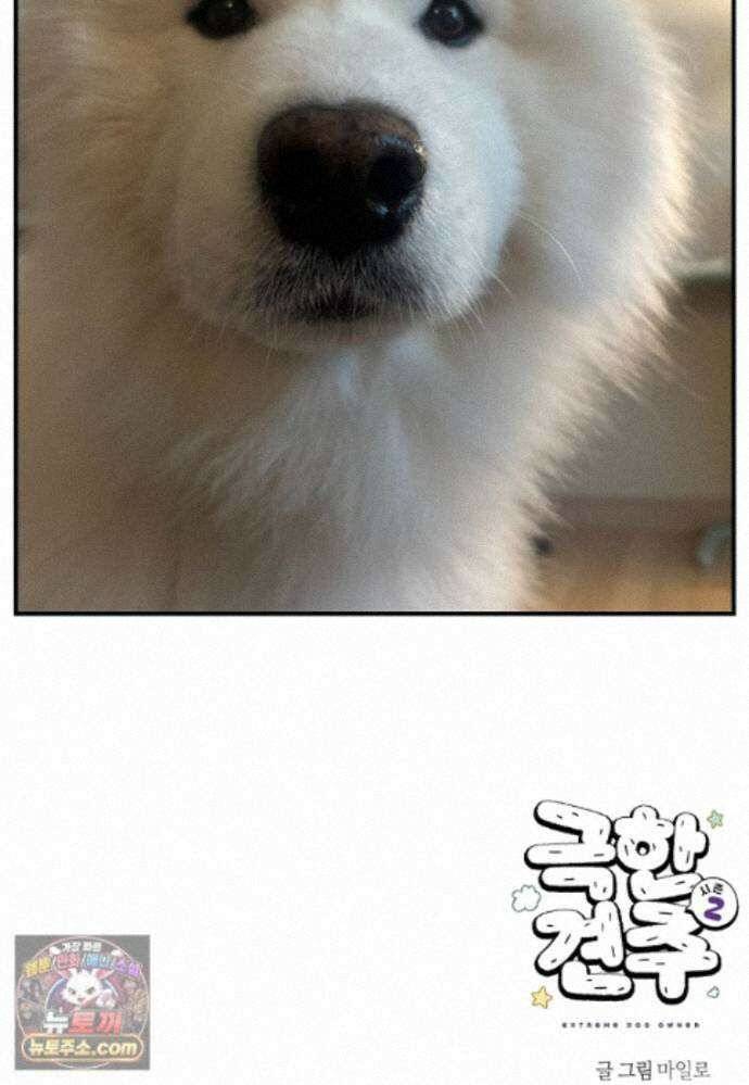 극한견주 시즌2 147화 오프리쉬에 대한 생각 26