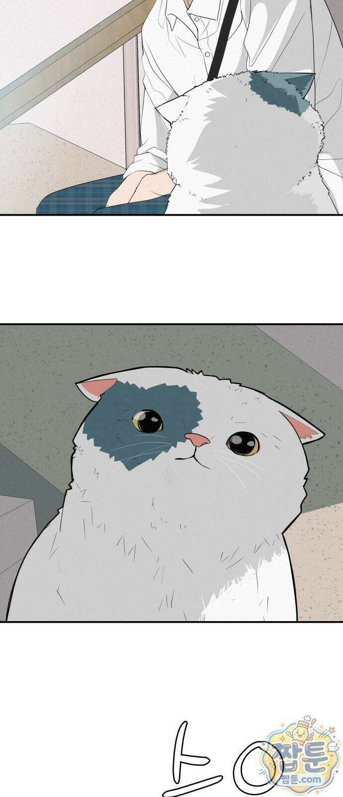 뽀대작렬 124화 4