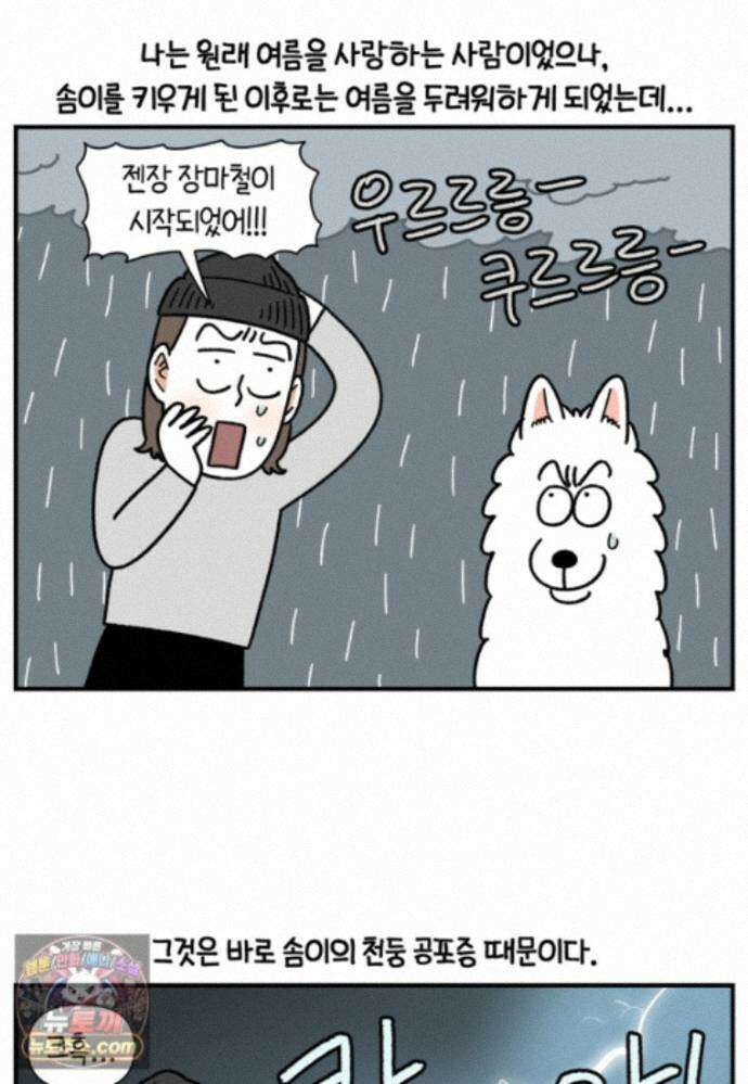 극한견주 시즌2 150화 천둥 공포증 2