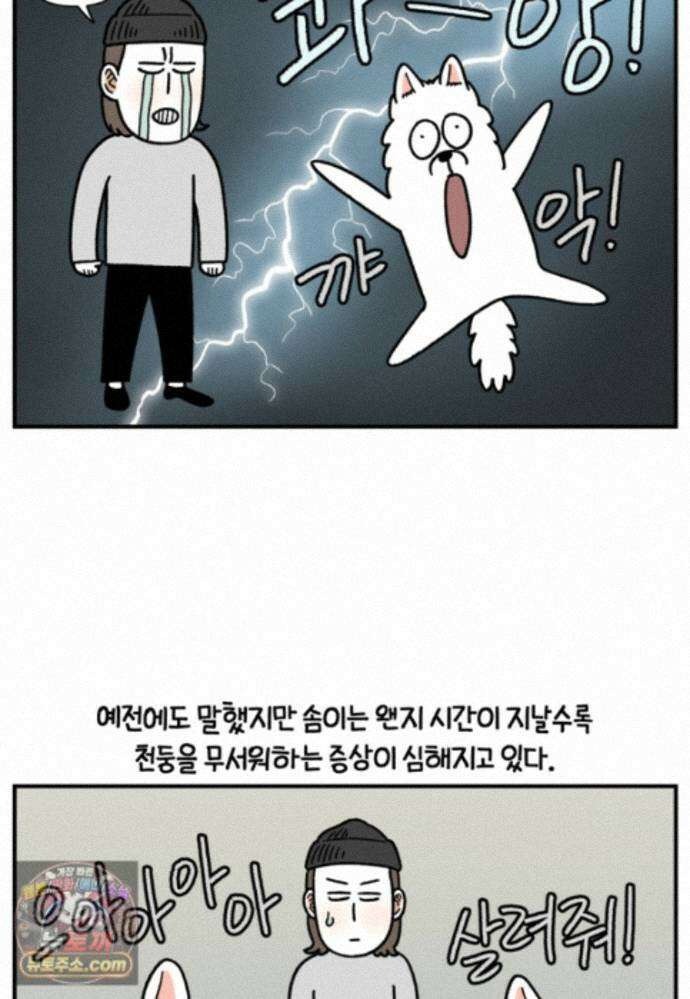 극한견주 시즌2 150화 천둥 공포증 3