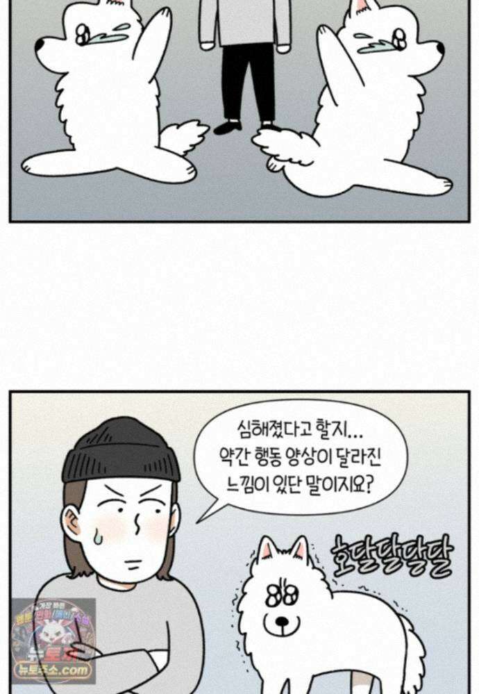 극한견주 시즌2 150화 천둥 공포증 4