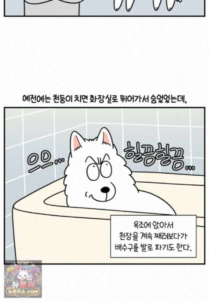 극한견주 시즌2 150화 천둥 공포증 5