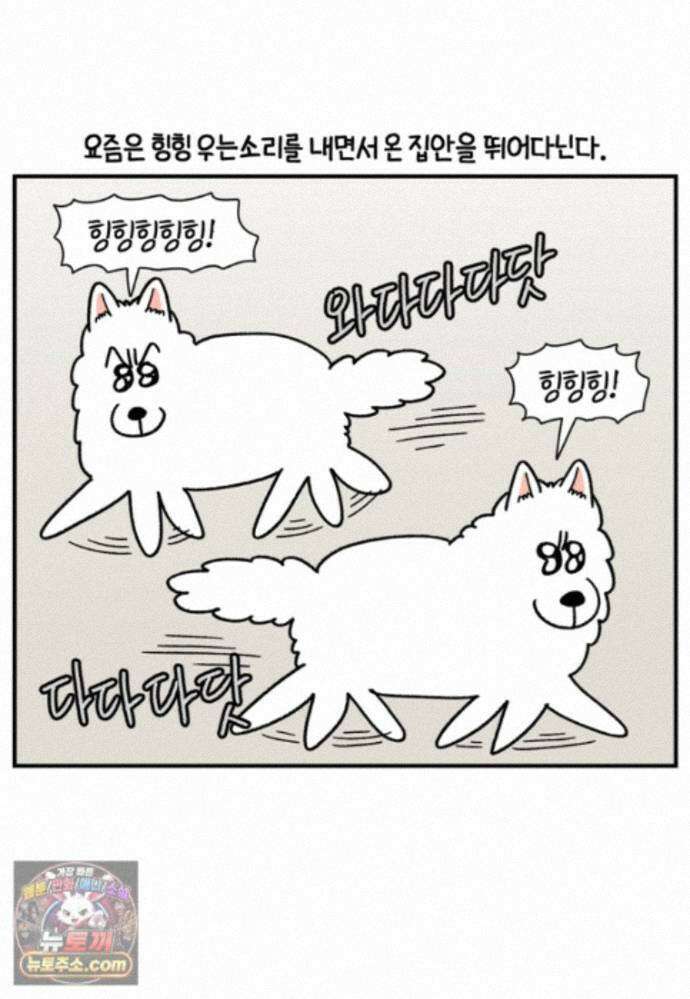 극한견주 시즌2 150화 천둥 공포증 6