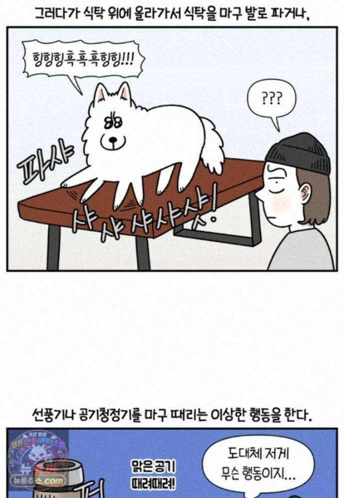 극한견주 시즌2 150화 천둥 공포증 7