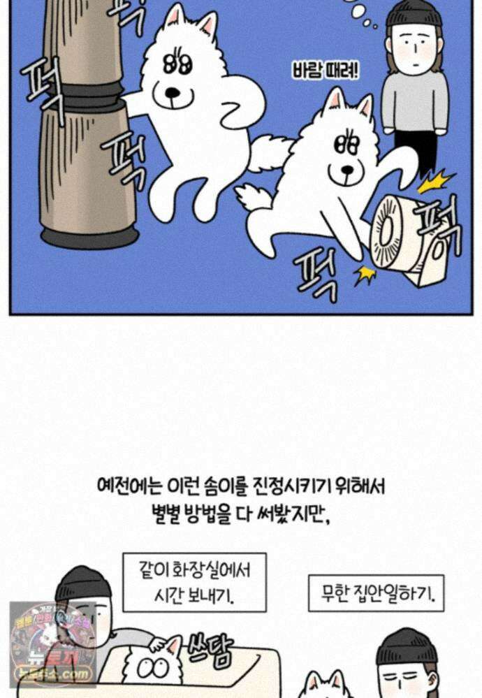 극한견주 시즌2 150화 천둥 공포증 8