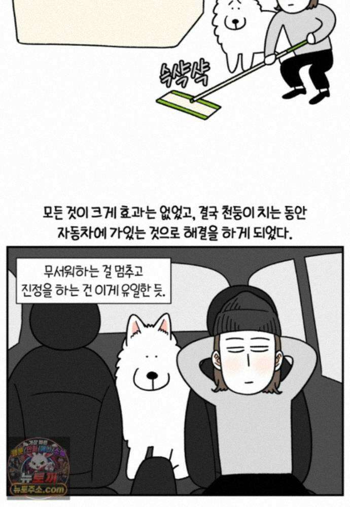 극한견주 시즌2 150화 천둥 공포증 9