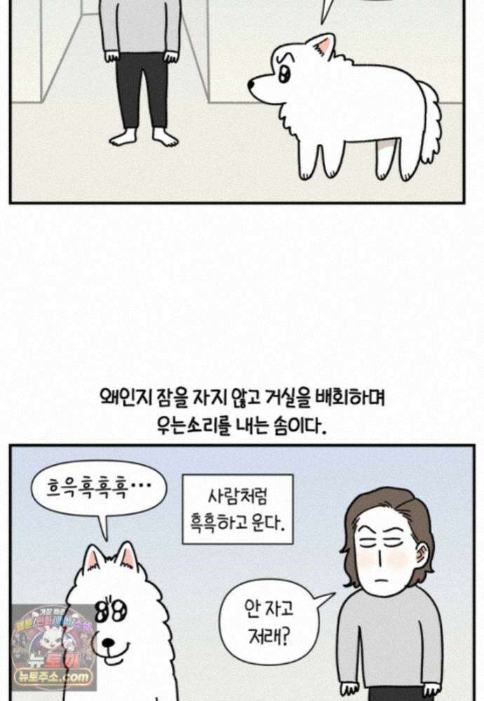 극한견주 시즌2 150화 천둥 공포증 19