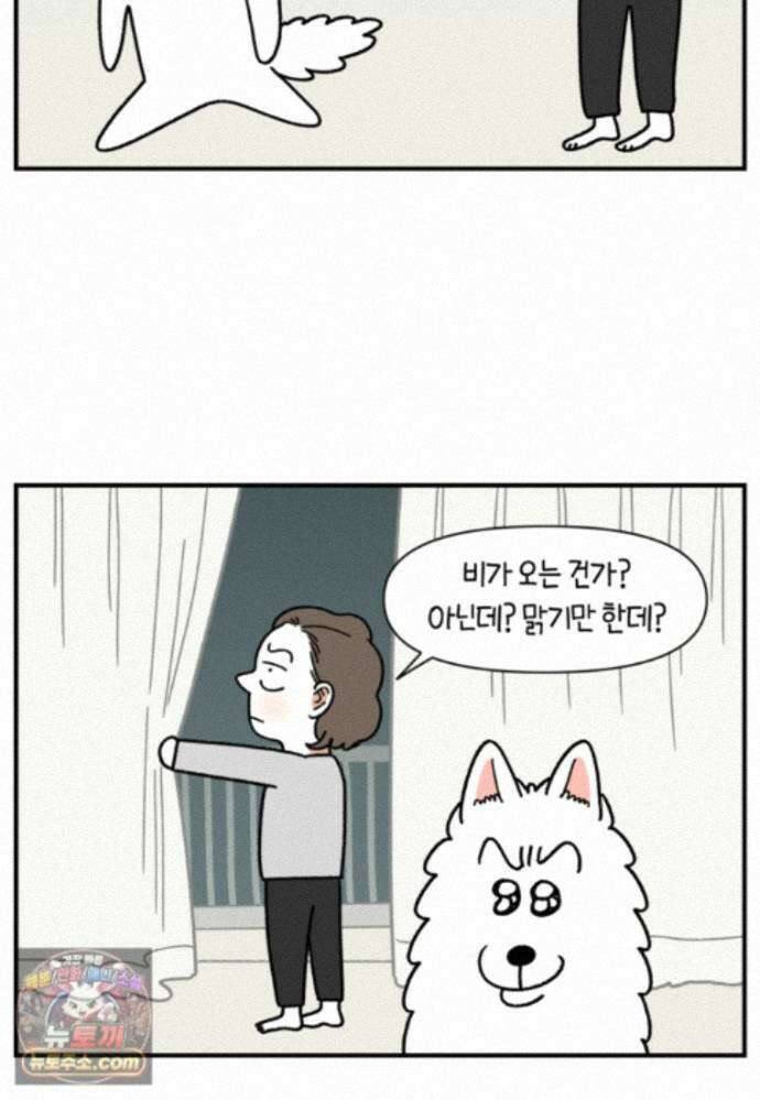극한견주 시즌2 150화 천둥 공포증 20