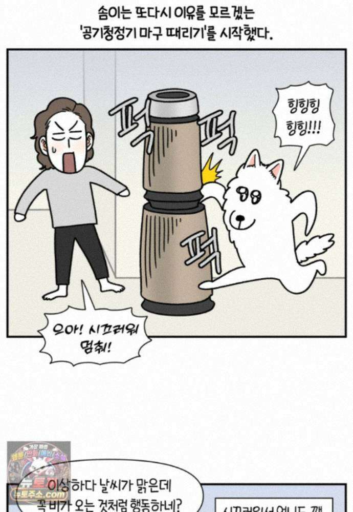 극한견주 시즌2 150화 천둥 공포증 22