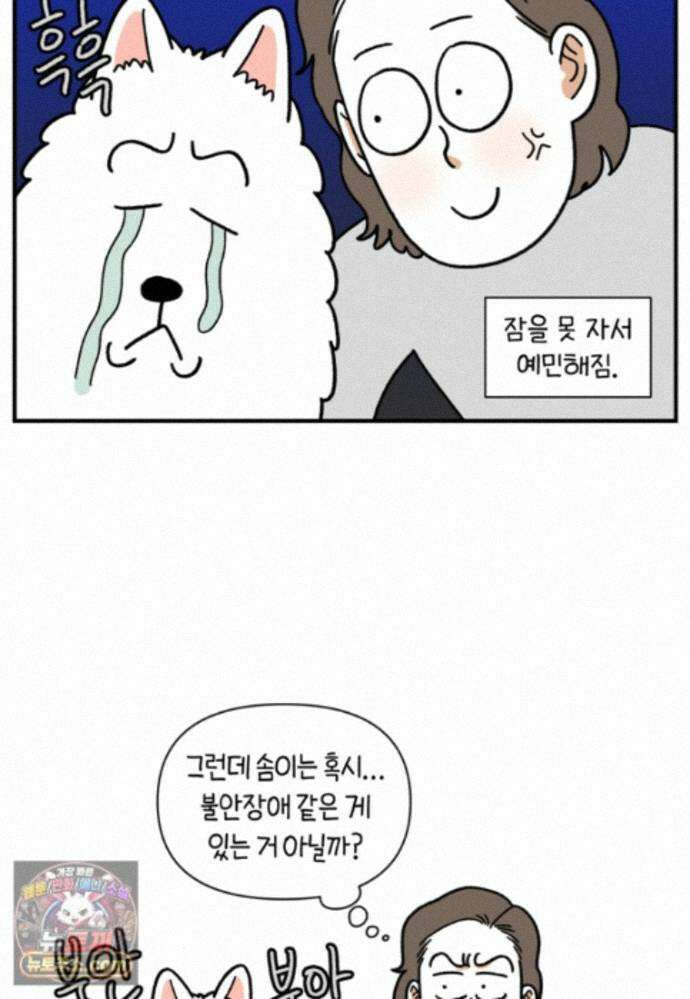 극한견주 시즌2 150화 천둥 공포증 25