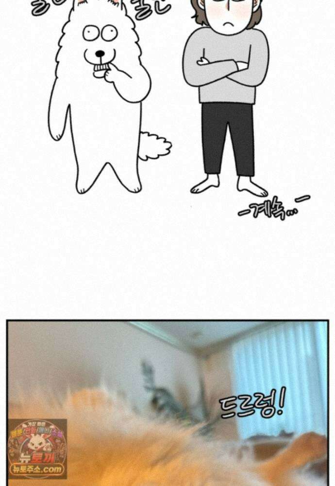 극한견주 시즌2 150화 천둥 공포증 26