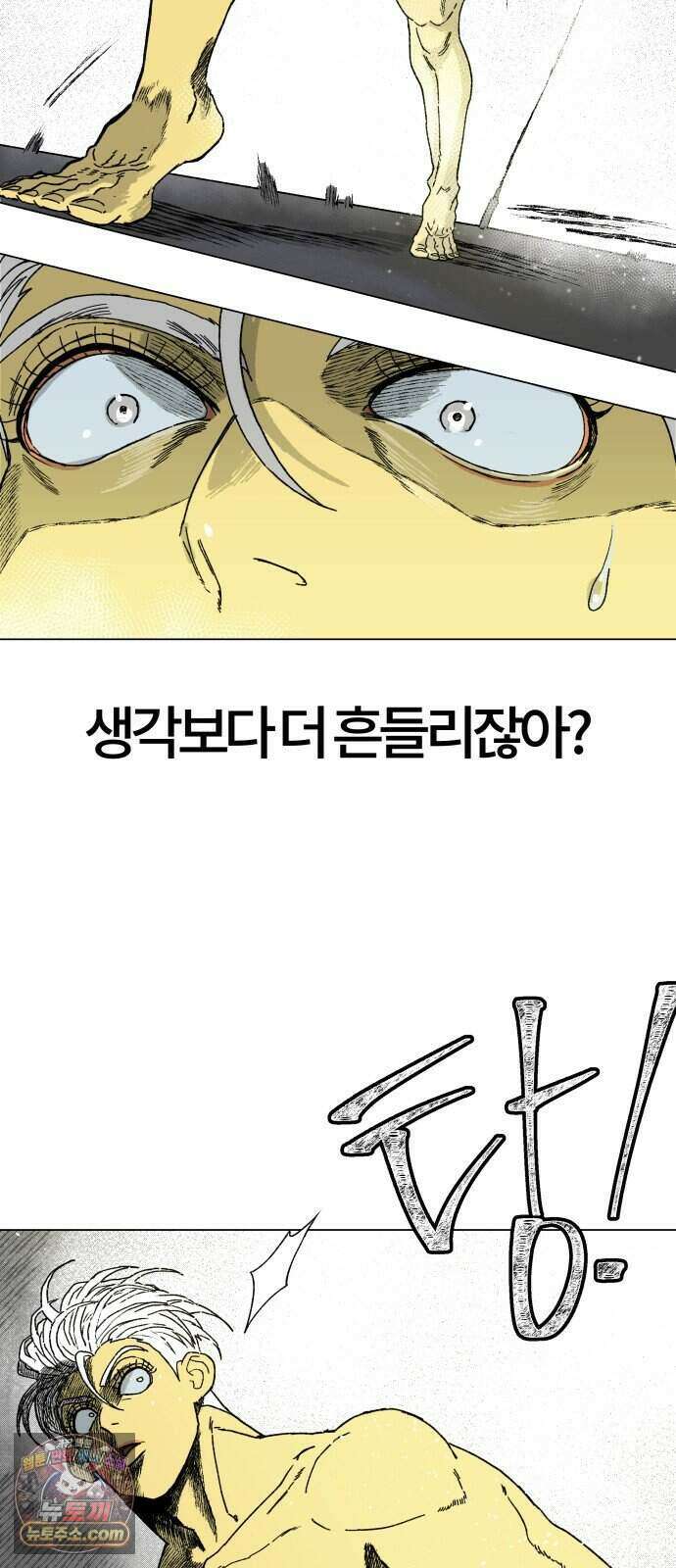 육각 6.신 5