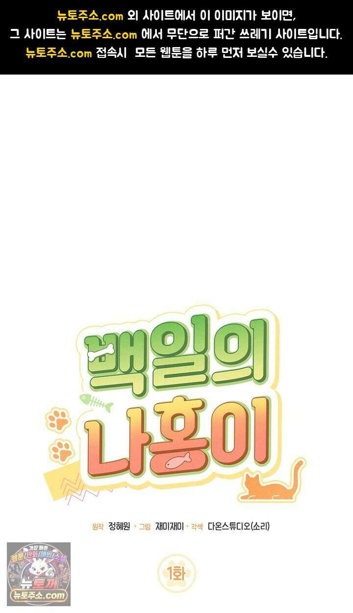 백일의 나홍이 1화 1
