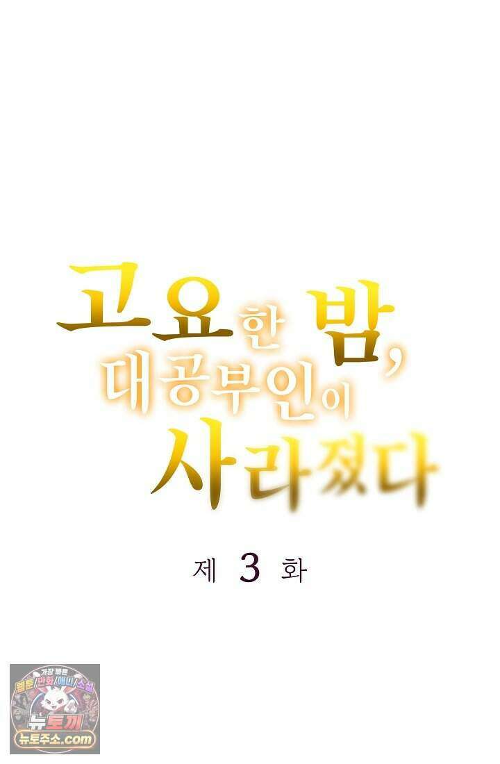 고요한 밤, 대공부인이 사라졌다 003 3