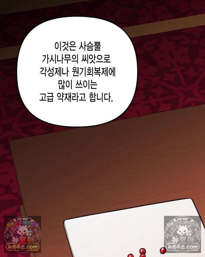 루벨파스트의 노예 22화 73