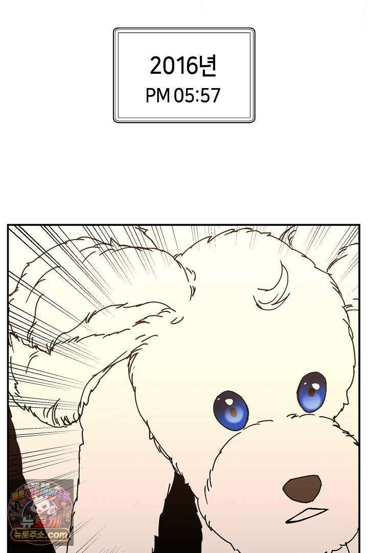 개의 눈으로 보라 39화 24