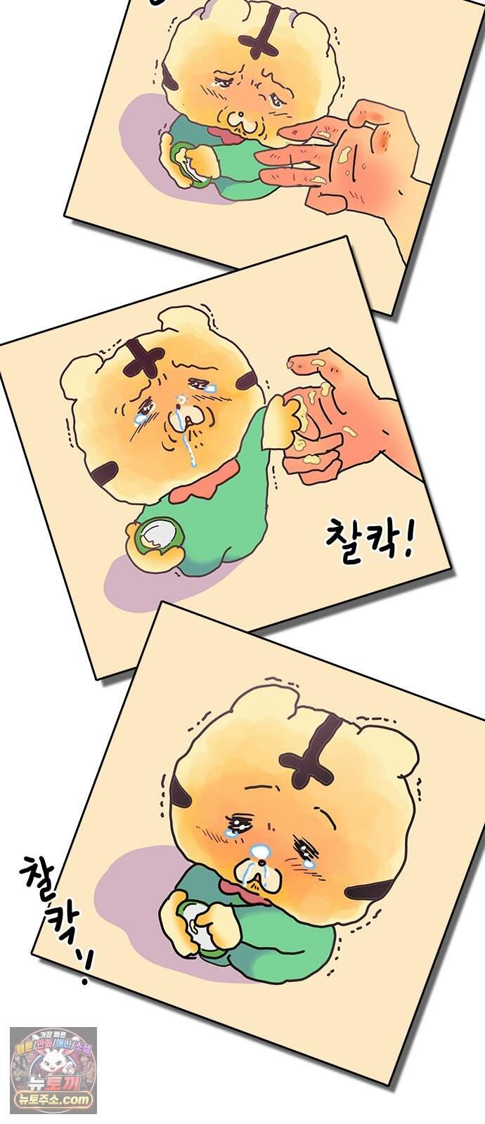 소심한 호랭이 코코 97화 엄마의 결심 2