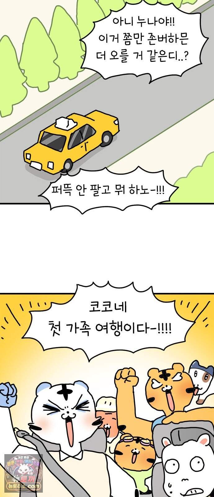 소심한 호랭이 코코 97화 엄마의 결심 51