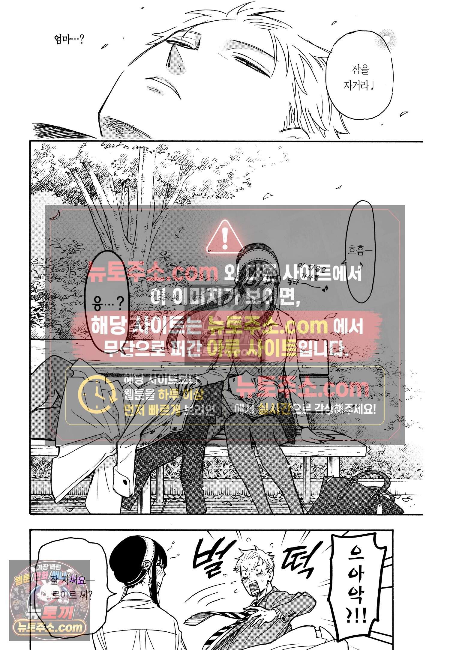 스파이 패밀리 MISSION : 35 17