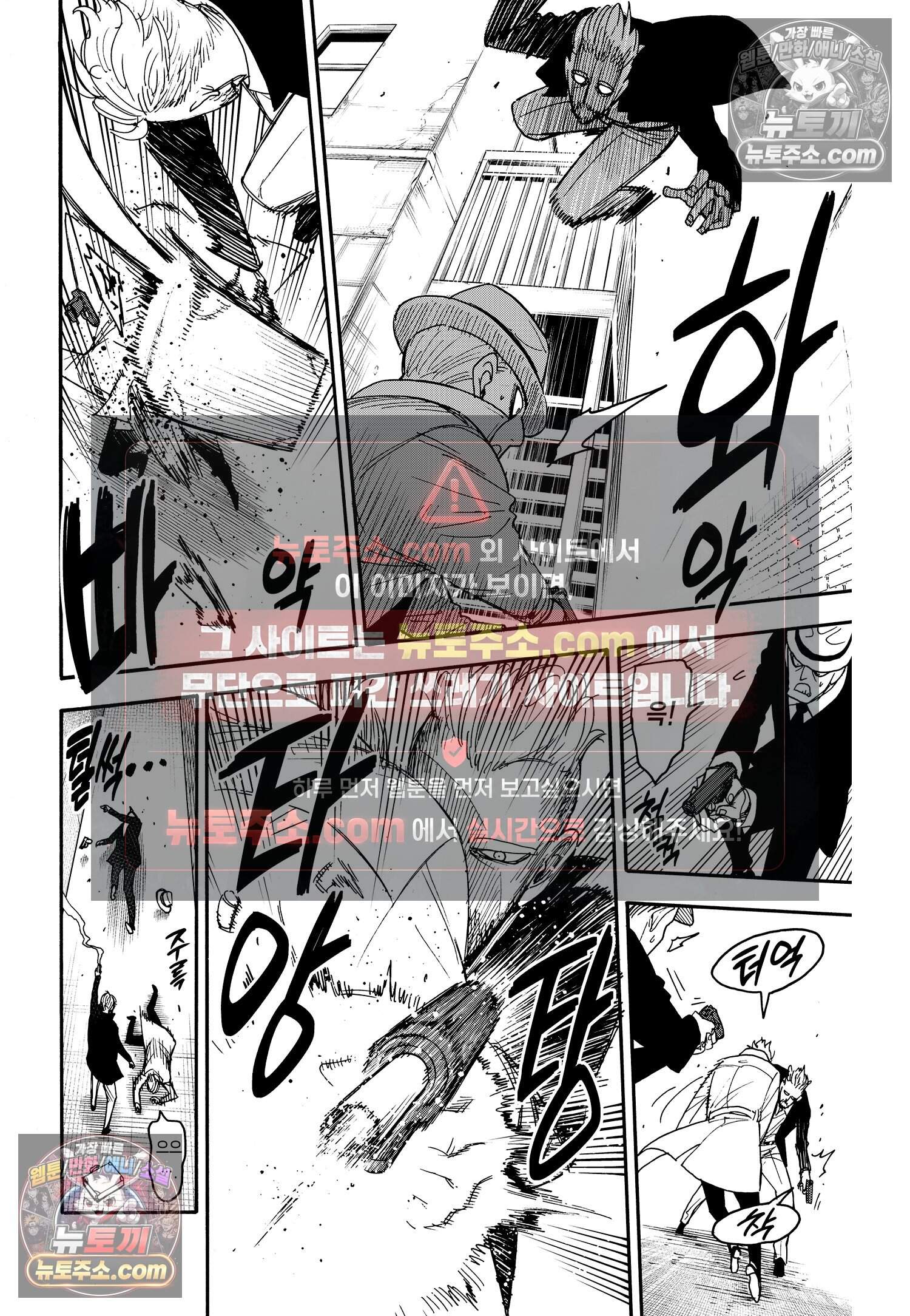 스파이 패밀리 MISSION : 81 3