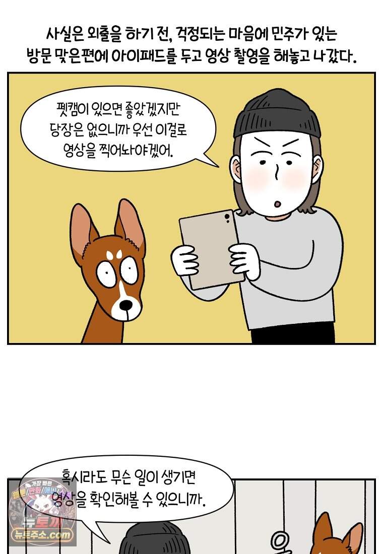 극한견주 시즌2 156화 바보 토네이도 2