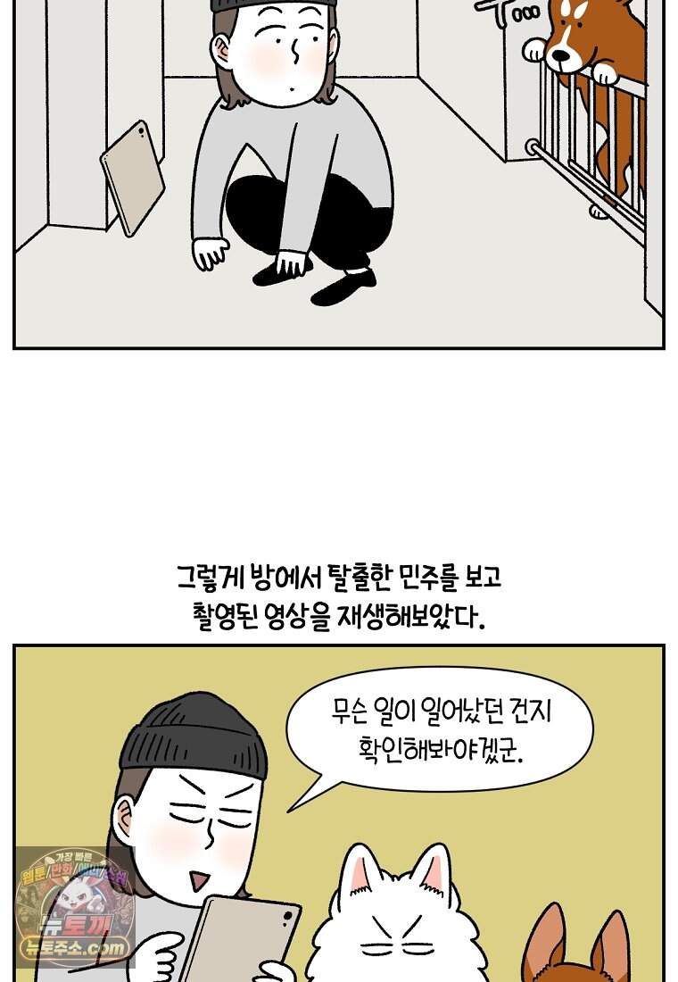 극한견주 시즌2 156화 바보 토네이도 3
