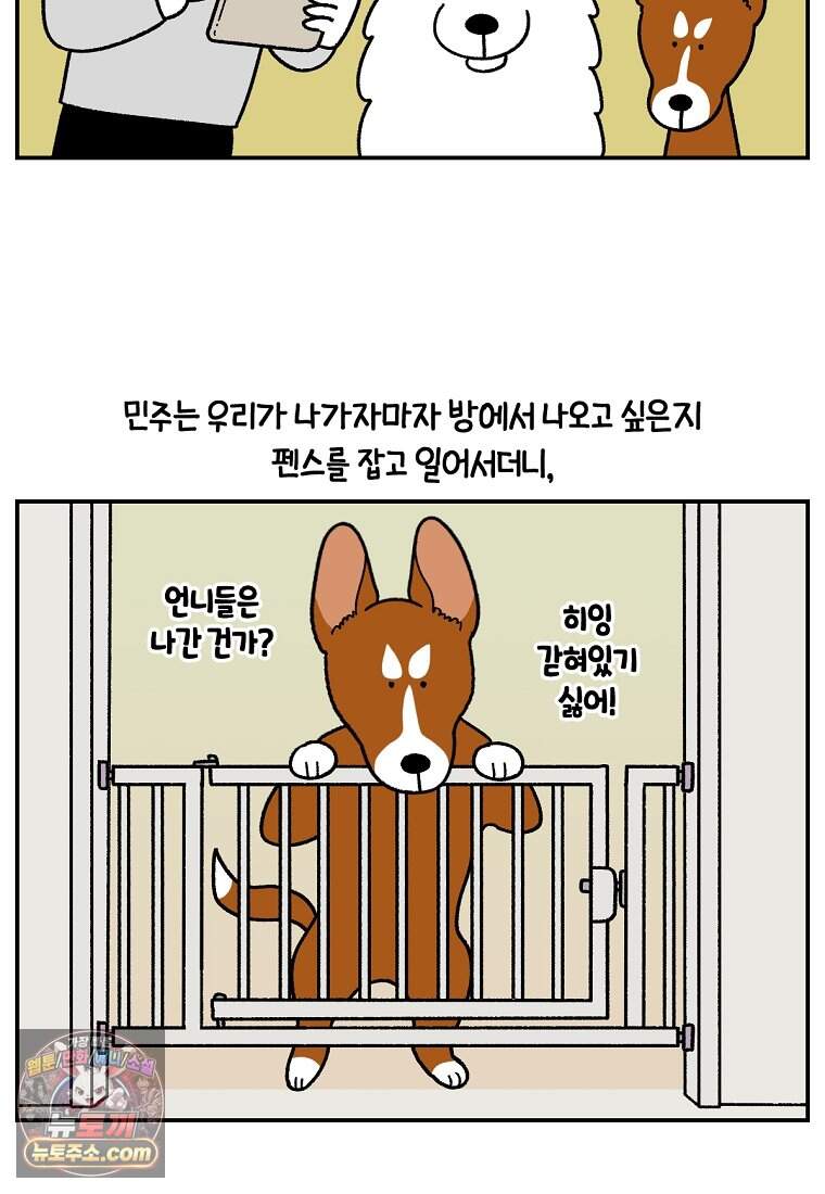 극한견주 시즌2 156화 바보 토네이도 4