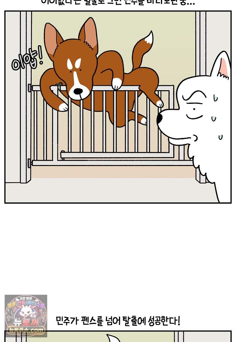 극한견주 시즌2 156화 바보 토네이도 6