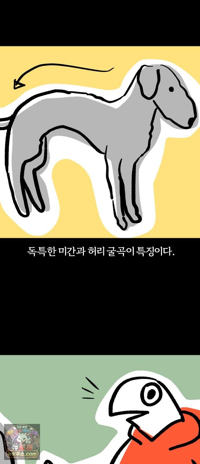 개집사 221화 견종특집-베들링턴 테리어 4