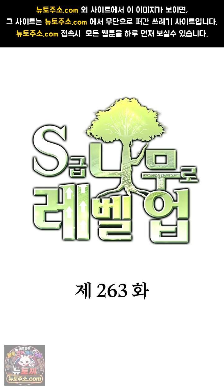 S급 나무로 레벨업 263화 1