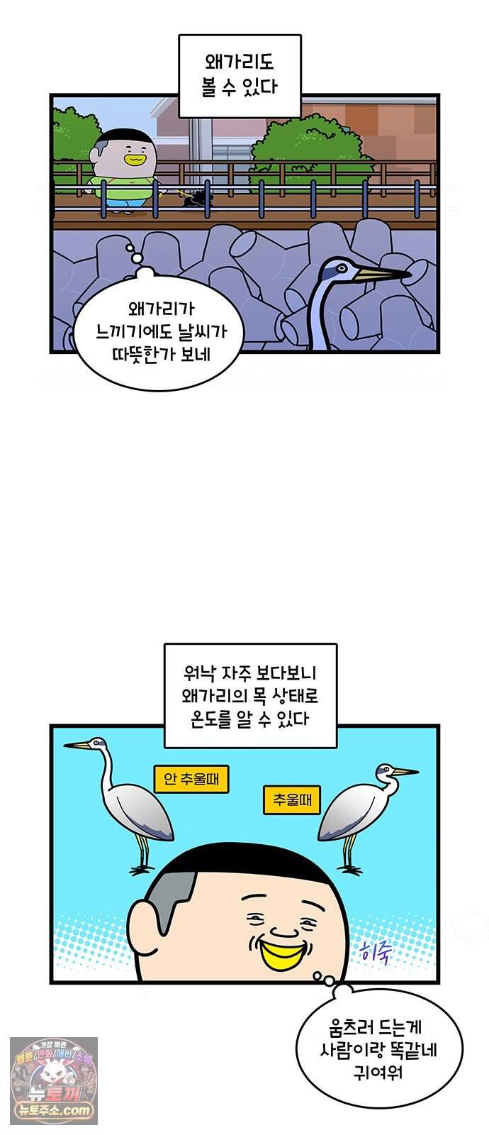 윌유메리미 시즌2 1019화 하얀 삼각 팬티 5