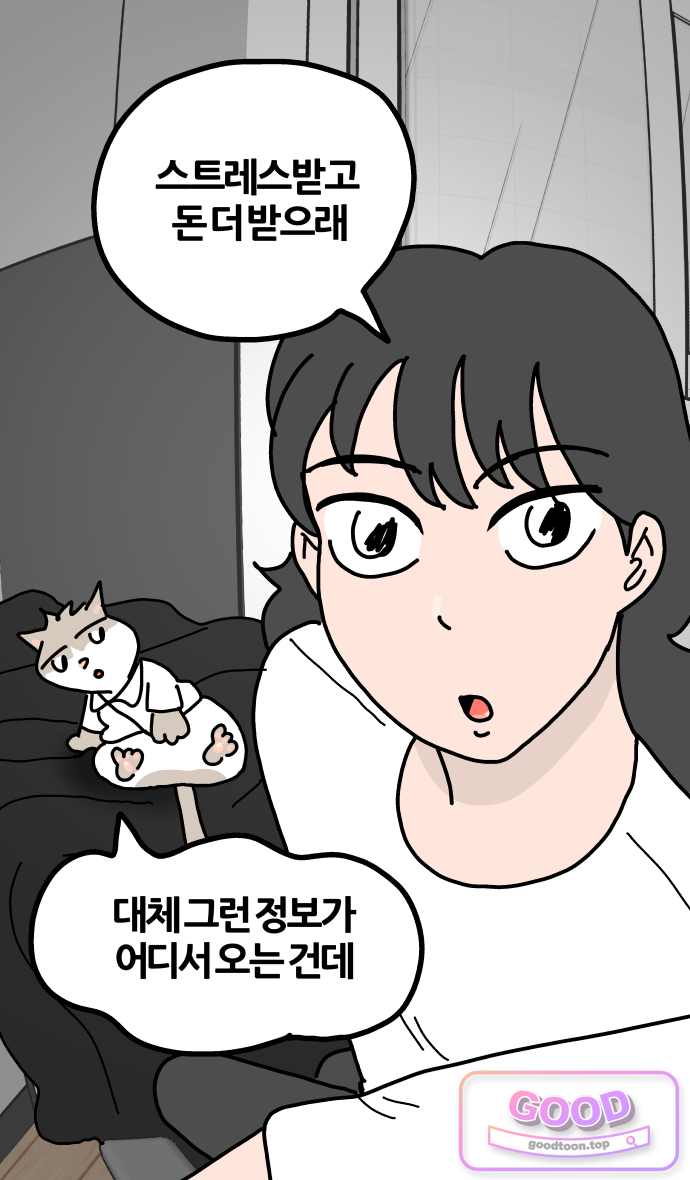 사회초년캣 37화 결정 1