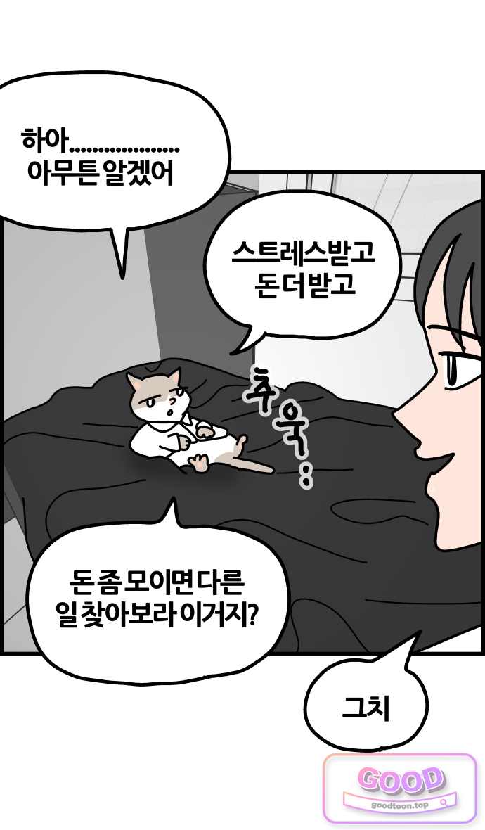 사회초년캣 37화 결정 3