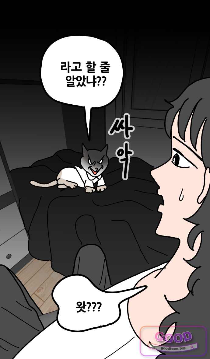 사회초년캣 37화 결정 5