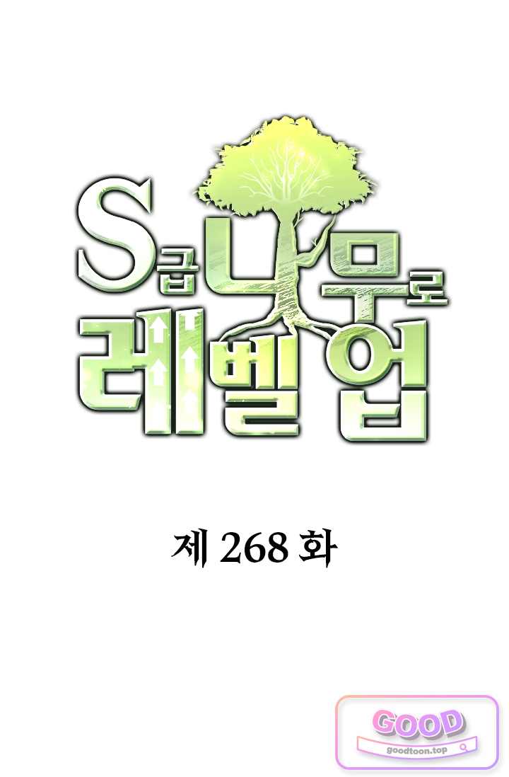 S급 나무로 레벨업 268화 1