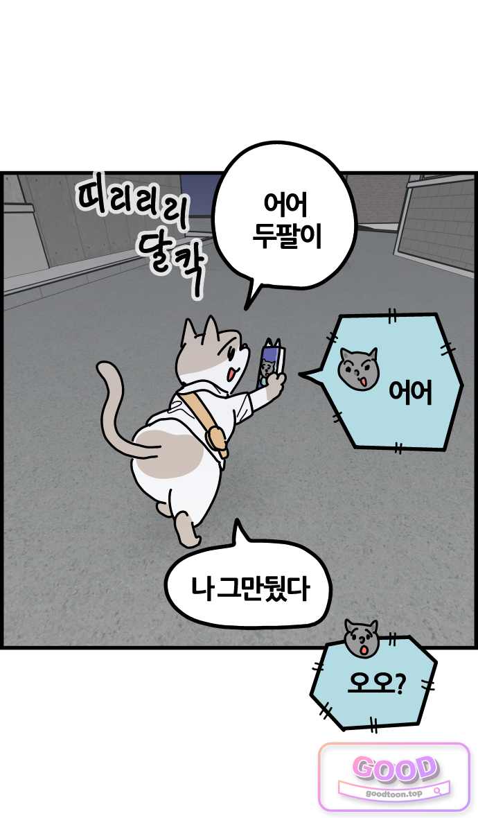 사회초년캣 38화 독립 1