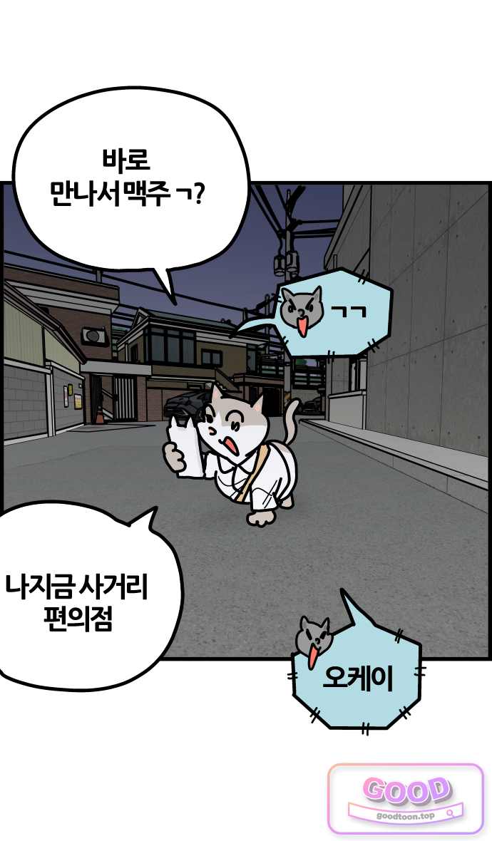 사회초년캣 38화 독립 2