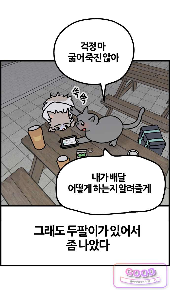 사회초년캣 38화 독립 5